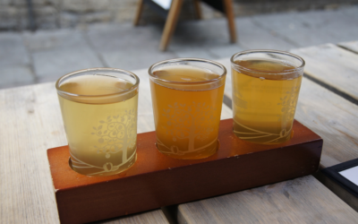 Decouvrez l’histoire du cidre normand